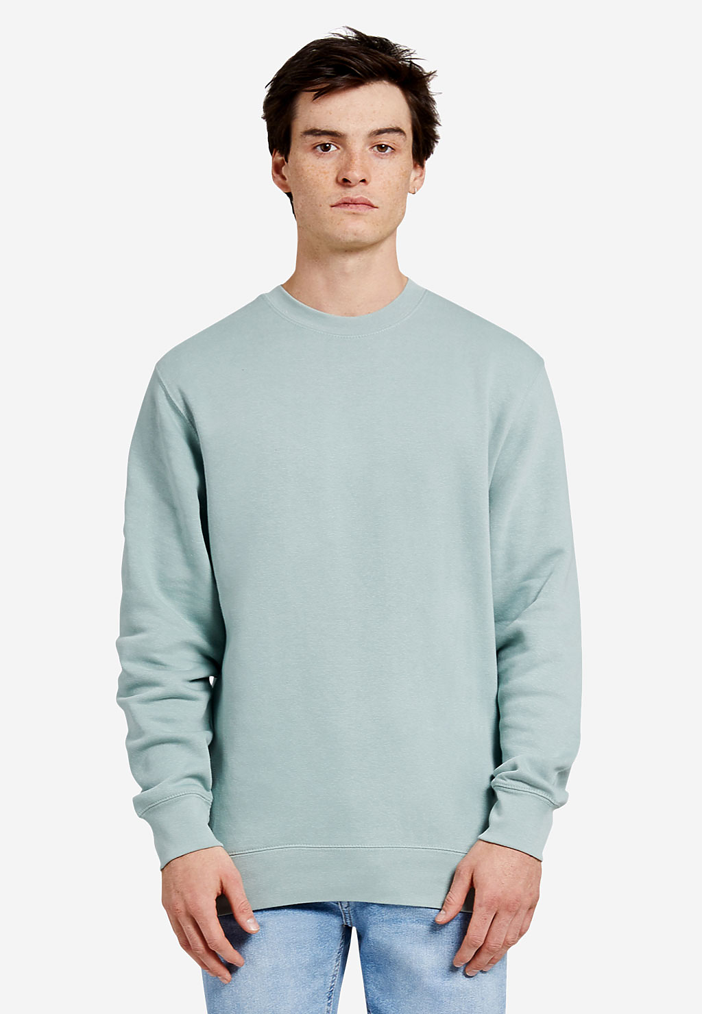 The Comfort Colors Adult Crewneck Sweatshirt - LIGHT GREEN - L