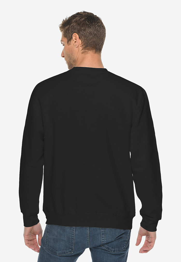 47 Hudson CREW Neck Sweatshirt - Cayenne –